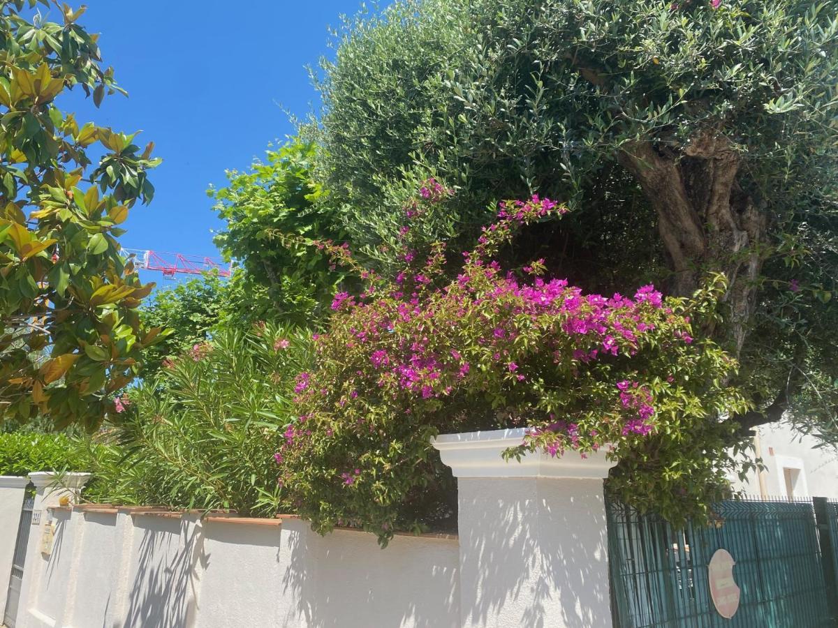 Arche De Portissol Sanary Appartement De Charme 4 A 6 Personnes Bagian luar foto